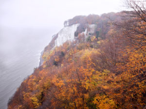 Kreidefelsen auf Rügen im goldenen Herbst Kreidefelsen auf Rügen im goldenen Herbst